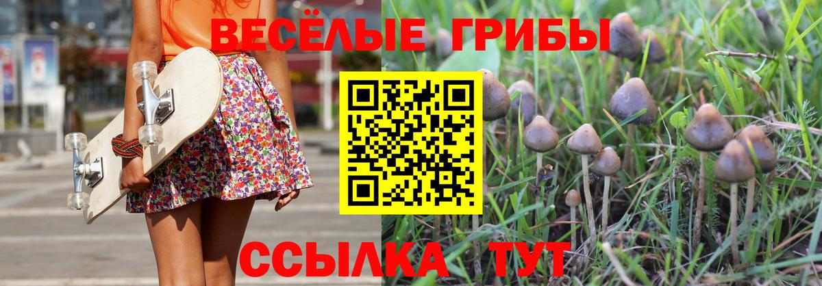 Галлюциногенные грибы MAGIC MUSHROOMS Набережные Челны