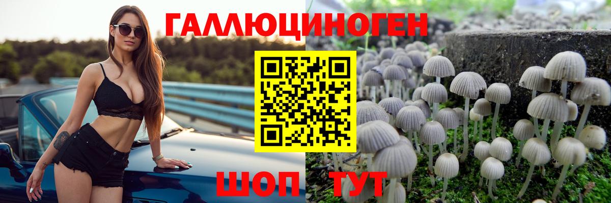 продажа наркотиков  Вход с VPN  Набережные Челны  Псилоцибиновые грибы мухоморы 